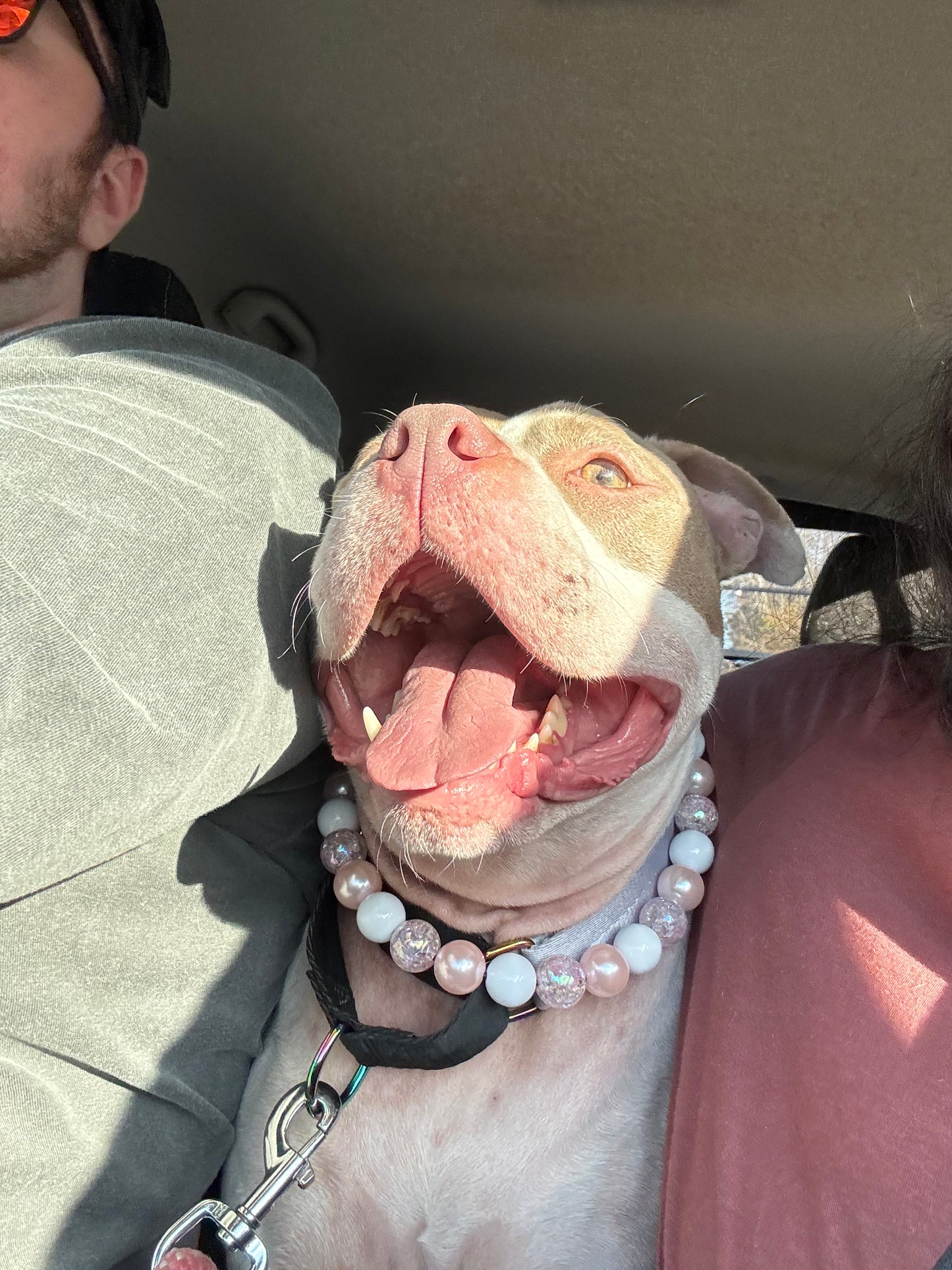 Pink Champagne Beaded Collar