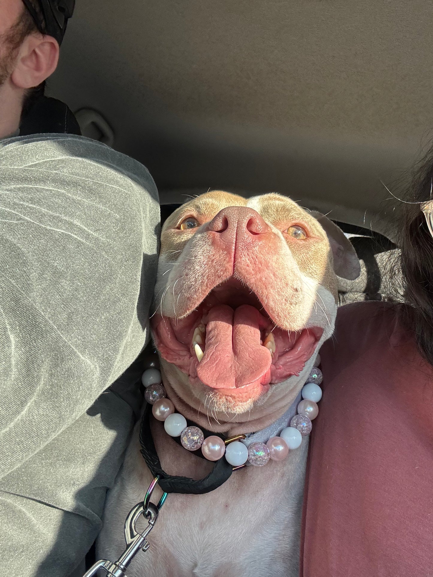 Pink Champagne Beaded Collar