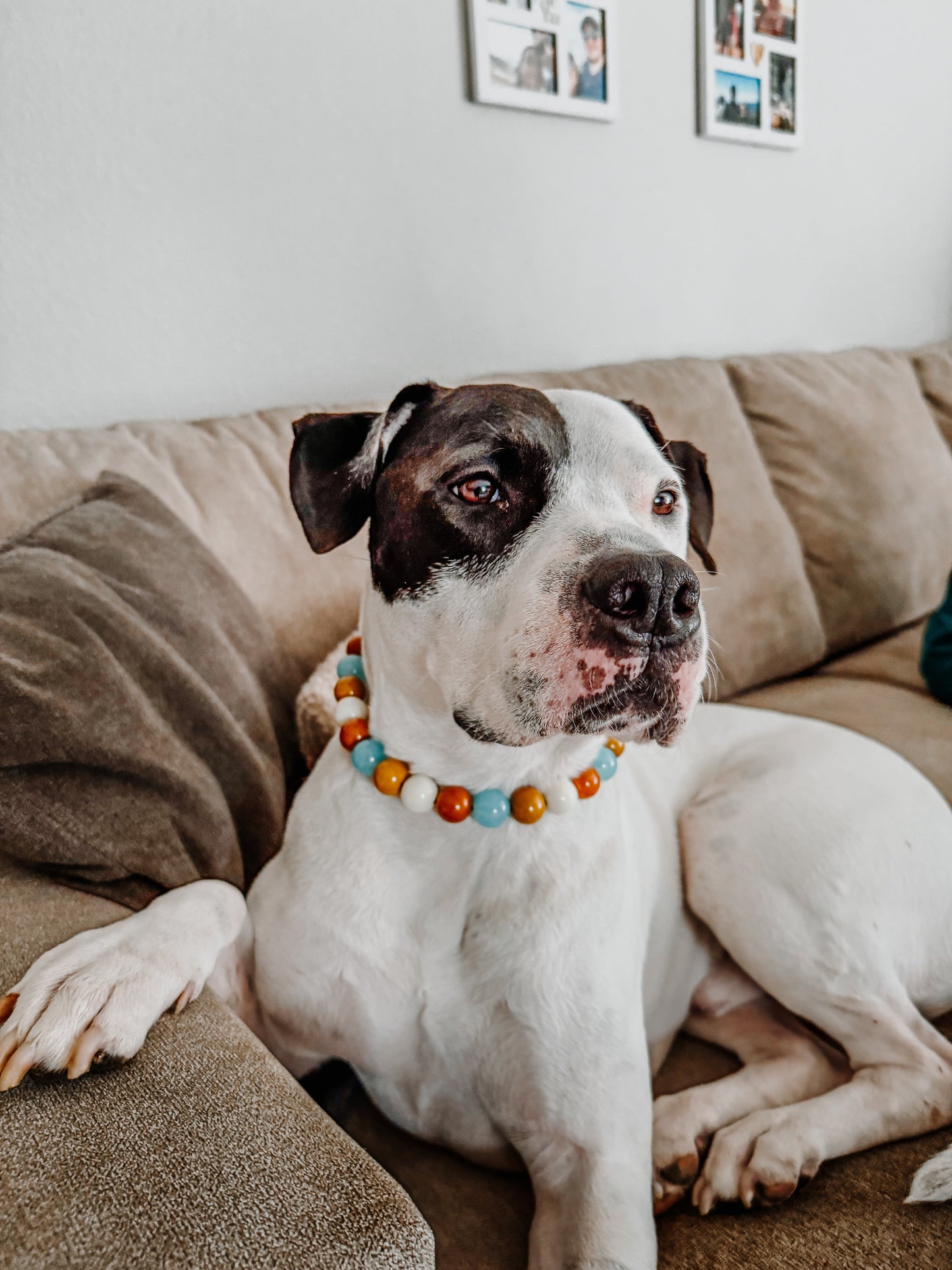 Canyon Beaded Collar