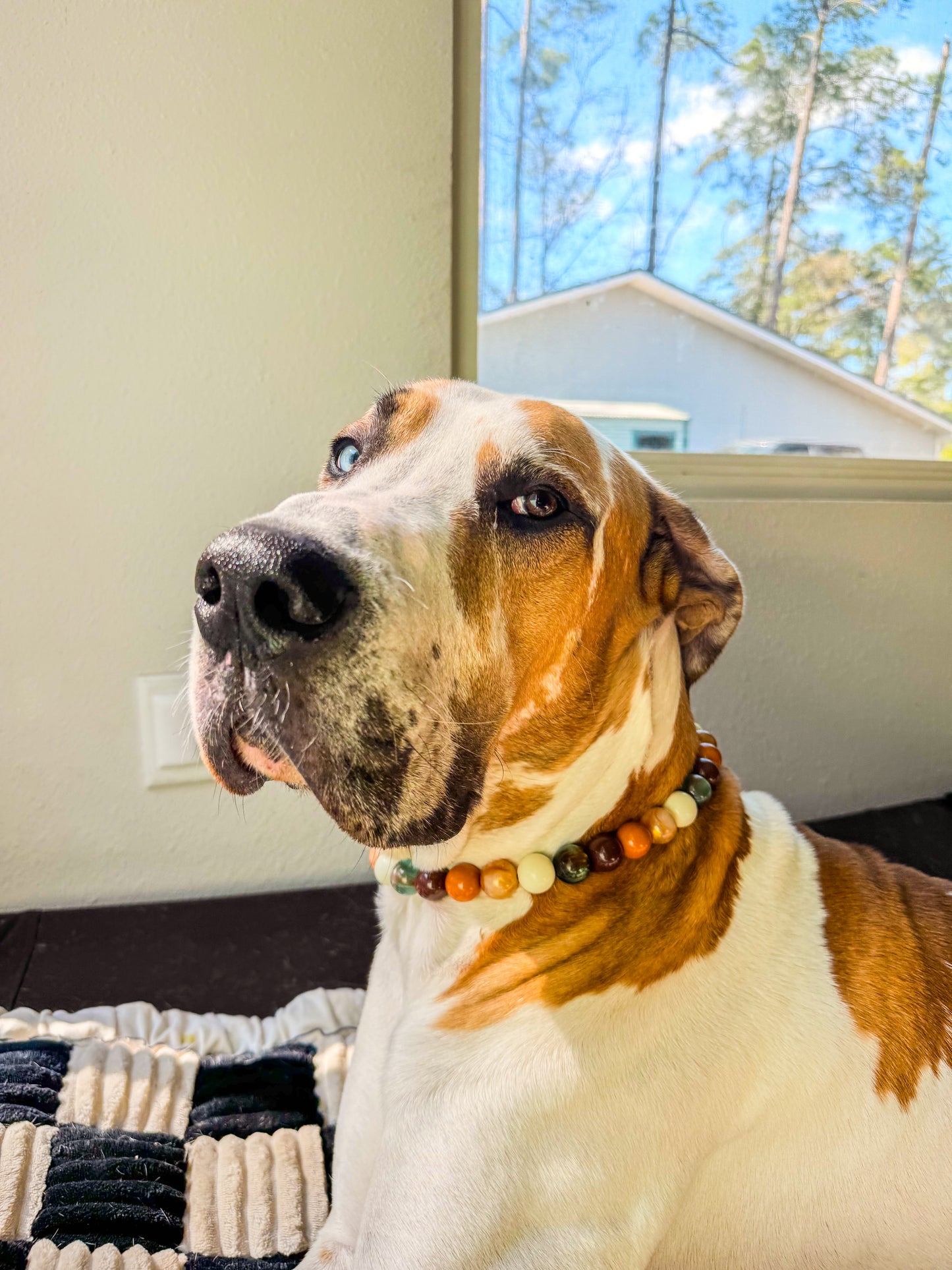 Heimdalls Beaded Collar