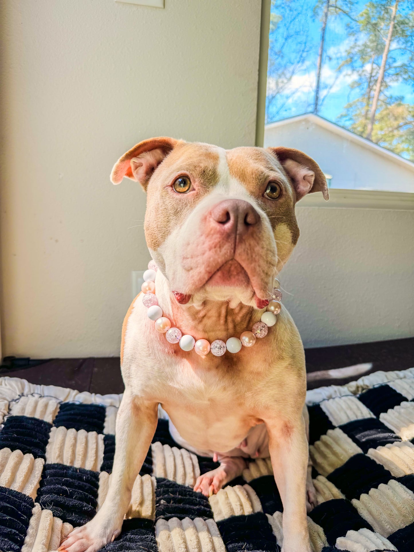 Pink Champagne Beaded Collar
