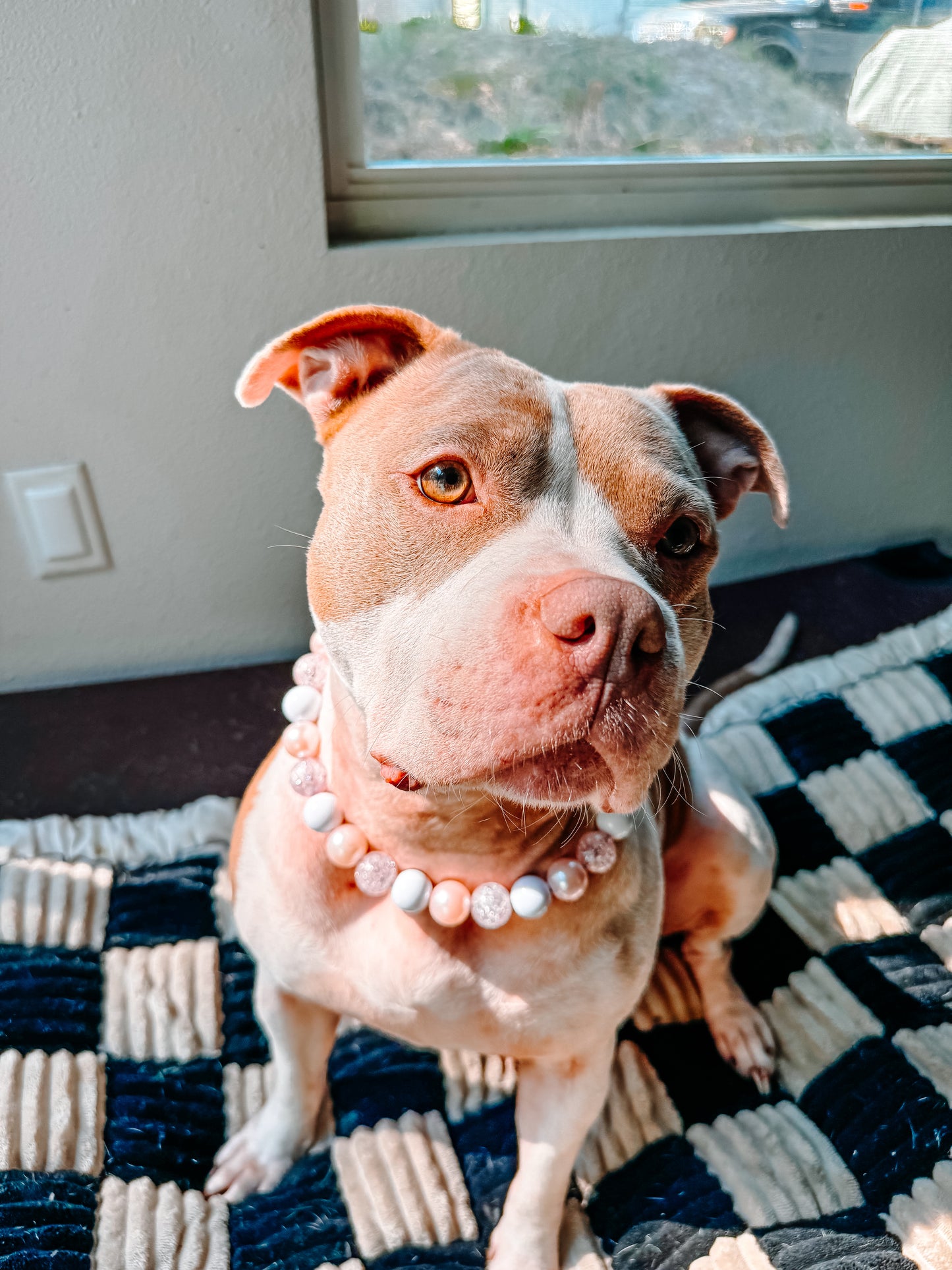 Pink Champagne Beaded Collar