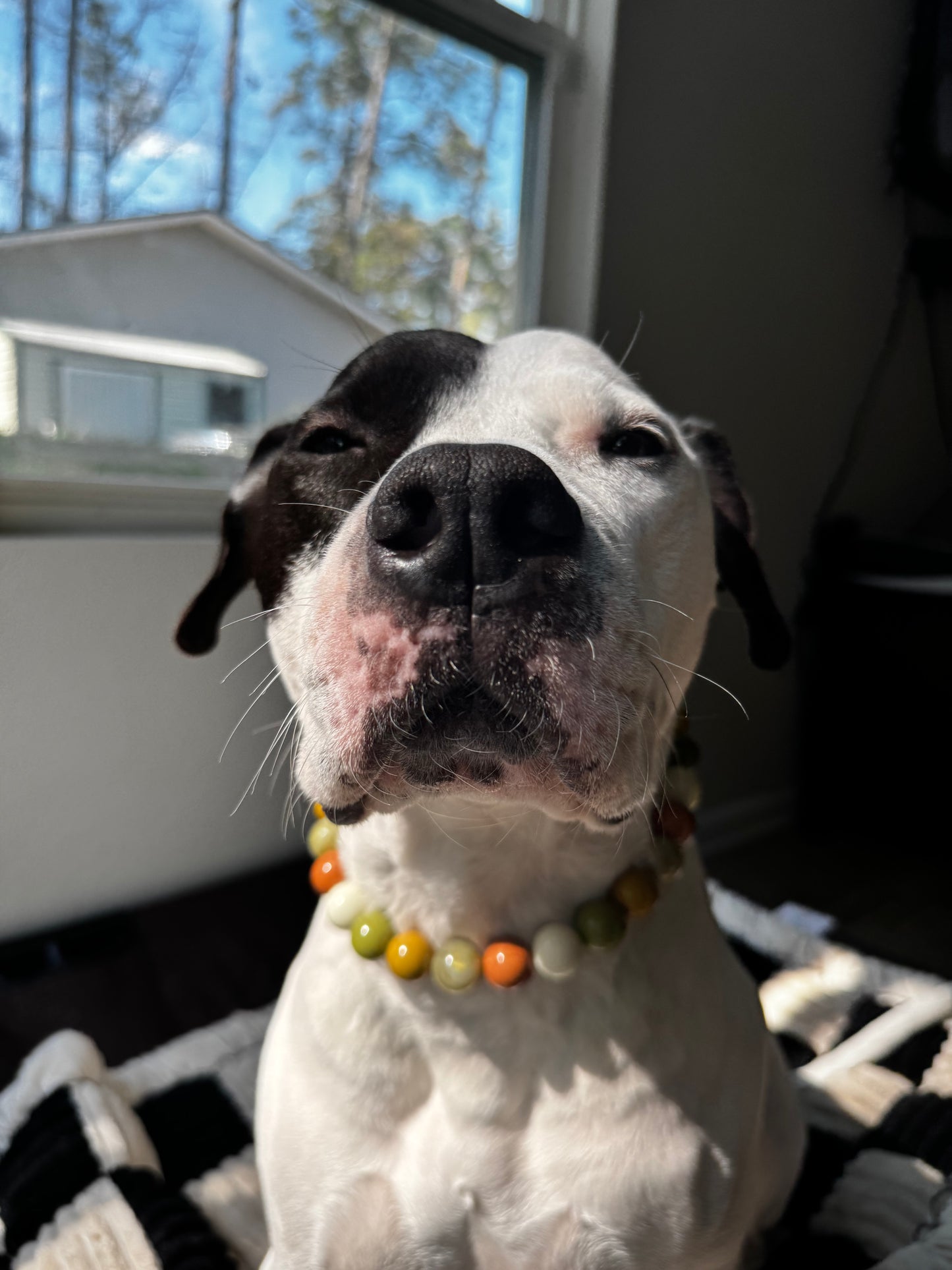Green Mountain Beaded Collar