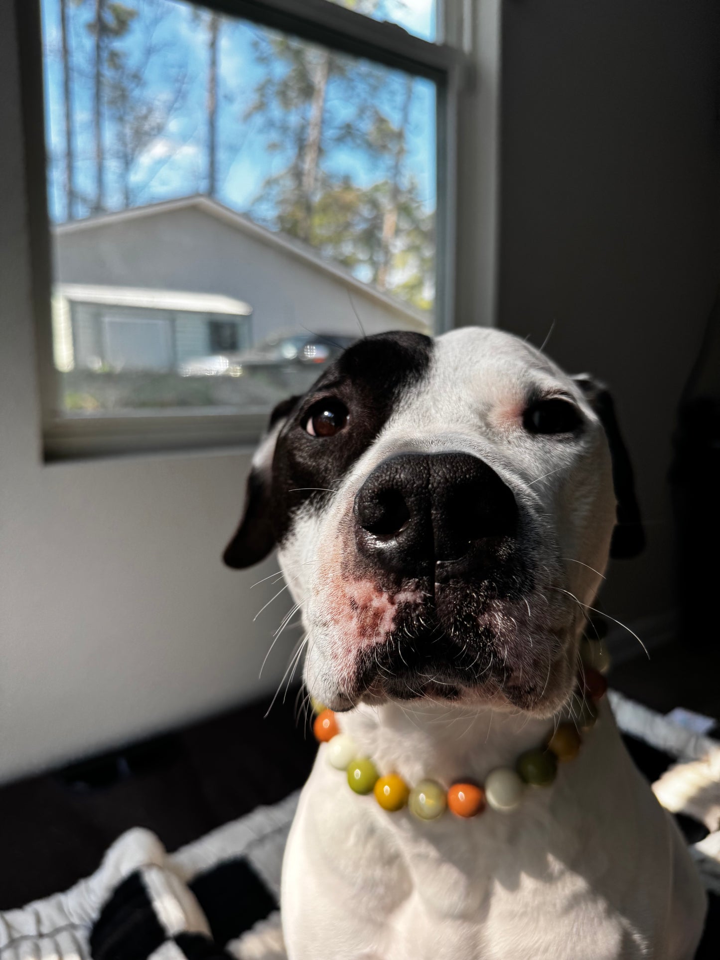 Green Mountain Beaded Collar